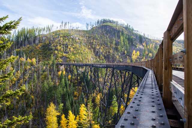 A curving steel trestle crosses a deep wooded canyon, with a wooden walkway railing close to the camera at right.
