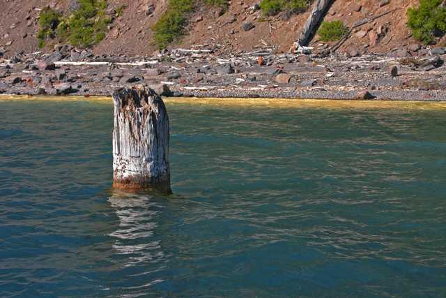 A weathered upright log projects from rippled lake water near a rocky shore.
