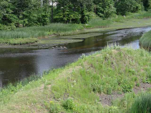 A shallow river bordered by green vegetation and exposed banks, with birds at the water’s edge.
