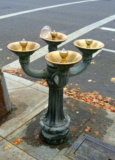 A four-bowl fountain stands beside fallen leaves and road markings; a clear bottle rests on its rear bowl.