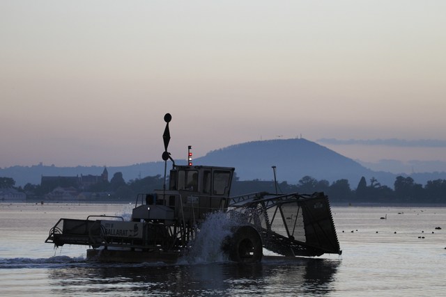 A paddle-driven weed-cutting boat with a conveyor and raised cutting frame crosses the lake in low light.