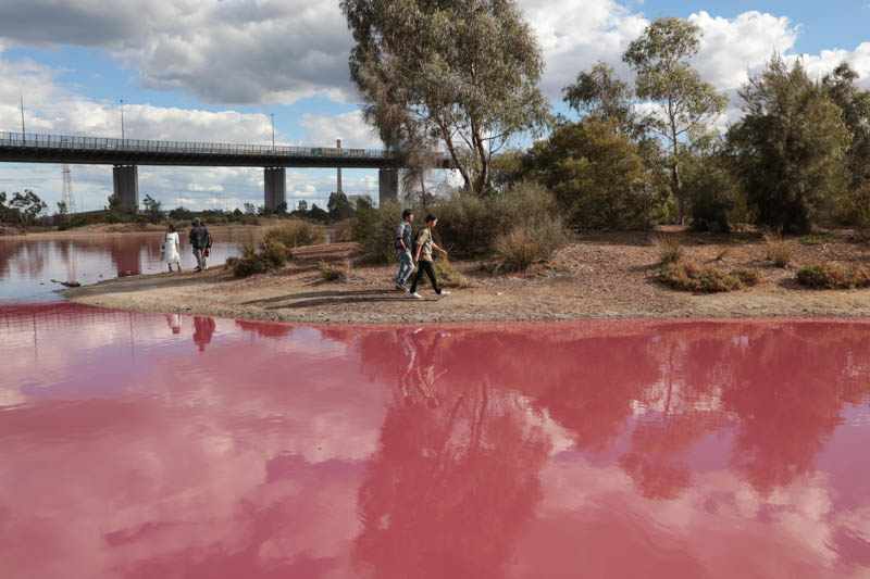Pink water in front of a narrow strip of shore, with walkers, trees and the West Gate Bridge beyond.