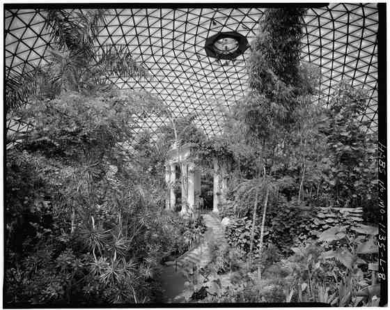 An archival black-and-white view of plants and a winding interior path beneath a triangular greenhouse roof.