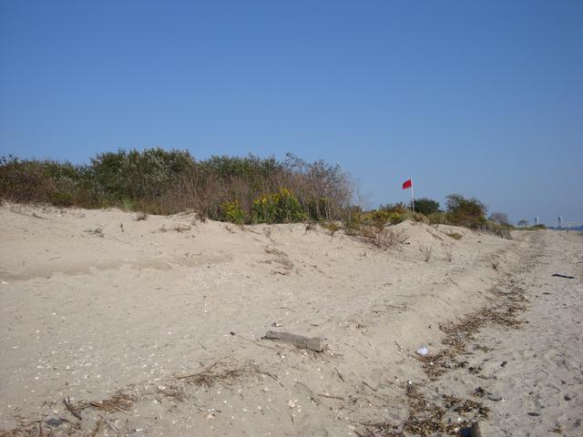A sandy beach has low vegetated dunes, a plain red marker flag and a bridge in the distance.