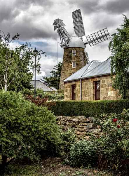 The windmill tower and sails rise above adjoining sandstone buildings and garden planting.