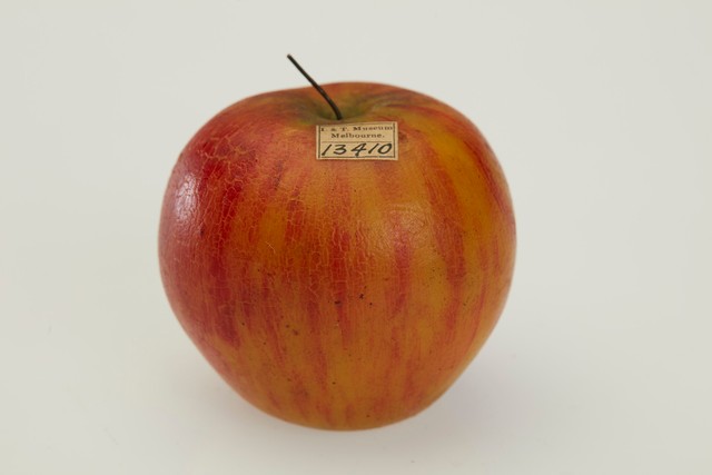 A red-and-yellow wax apple carries a small museum label numbered 13410 and an exposed wire at the stem.