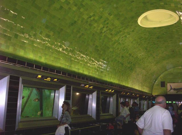 A curved green tiled ceiling stretches above wall tanks and incidental visitors in an aquarium gallery.
