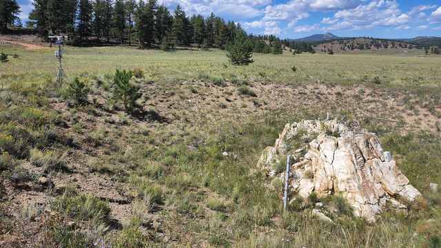 A low, cracked petrified stump stands at the right of a grassy hollow; a monitoring mast is on the left, with pine trees and distant hills beyond.
