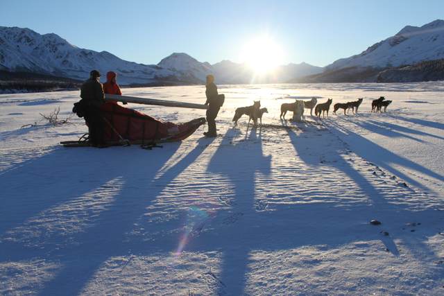 Three bundled staff members lift long lengths of debris beside a sled and a waiting dog team.