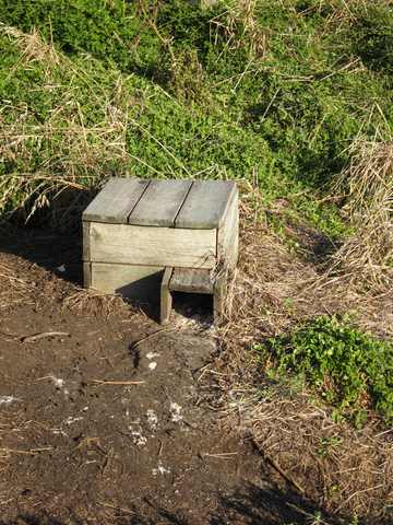 A small wooden shelter with a dark rectangular entrance sits beside a bare path among green and dry vegetation.