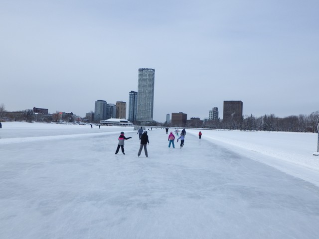 Skaters seen mostly from behind on a broad cleared ice surface, with snow banks and distant city buildings.