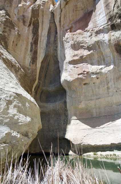 A tall, streaked sandstone alcove rises above the pool and reeds.