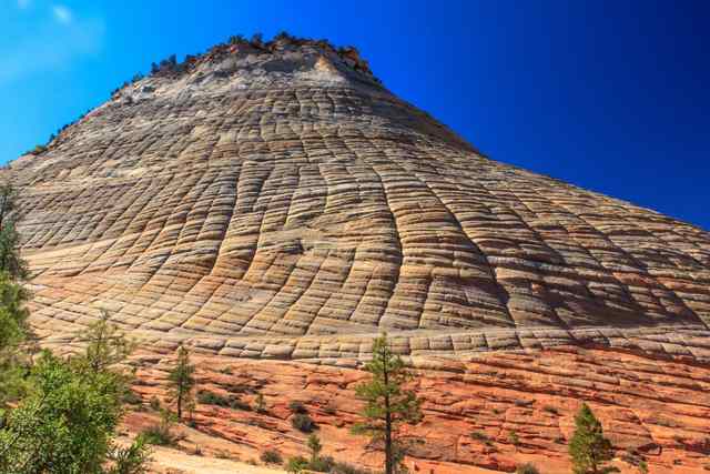 A closer sandstone face shows near-horizontal bands crossed by upright grooves, with vegetation near its base.