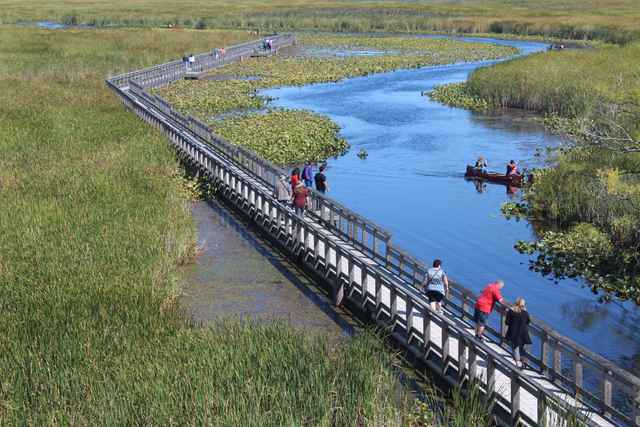 Visitors on a boardwalk crossing marsh vegetation beside open water, with canoeists in the channel.