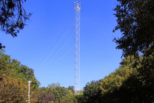 A slender lattice lighting tower and guy wires rise above trees against a blue sky.