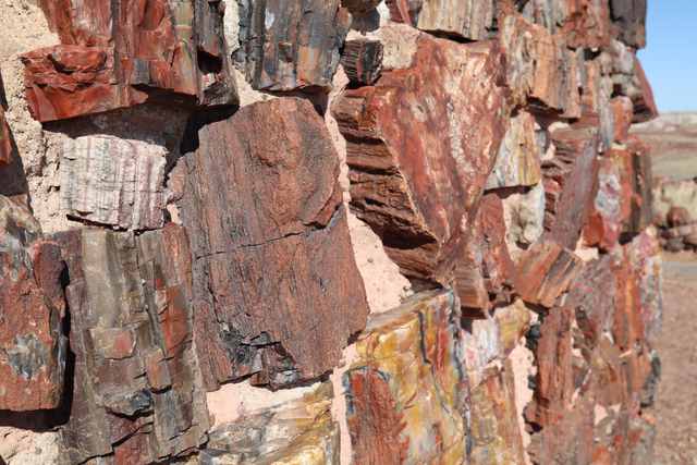Close view of differently coloured petrified-wood blocks set in a wall.
