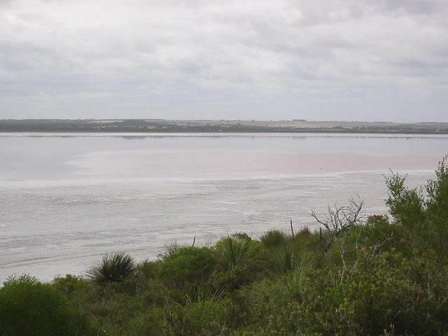 A pale lake beneath an overcast sky, with a low distant shore and green vegetation in the foreground.