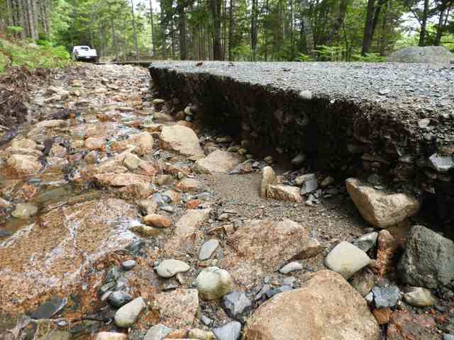 A deep channel runs along a forest road, exposing a gravel edge and larger stones; a white maintenance vehicle stands in the distance.