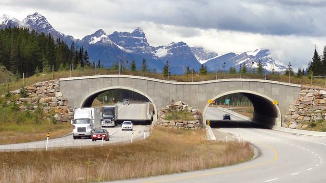 A planted wildlife bridge spans both carriageways, with traffic beneath its two arches and mountains behind.