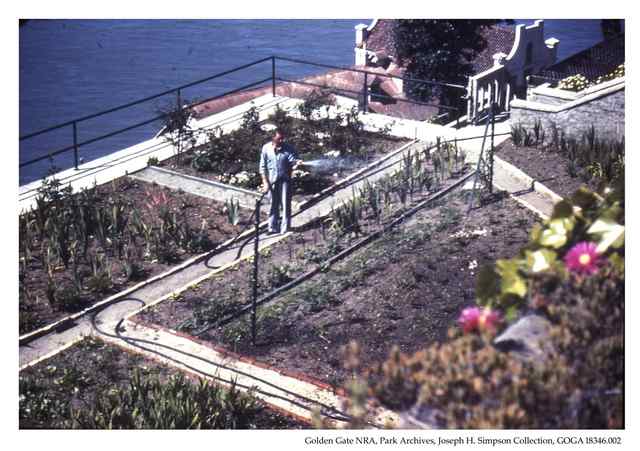 A historical color photograph of a person watering terraced beds above the bay, with paths, railings and a building; the archival credit remains along the lower border.