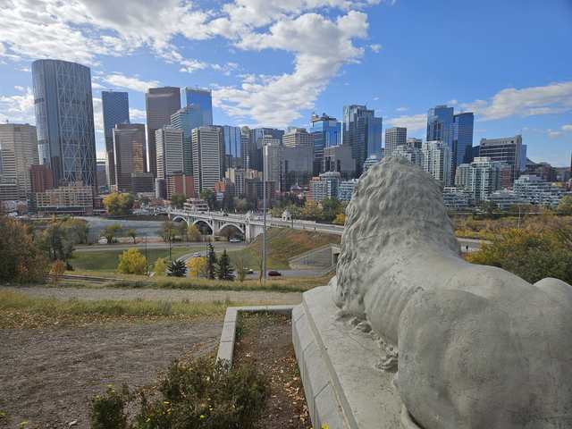 The worn back and mane of a reclining lion sculpture fill the foreground, overlooking a river bridge and Calgary’s skyline.