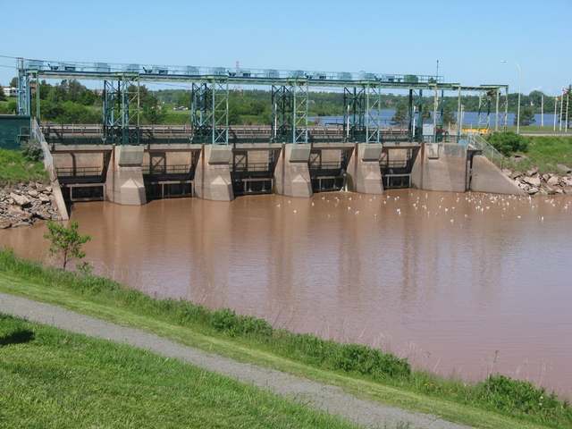 Concrete causeway openings beneath a metal operating structure, with brown water and birds in front.