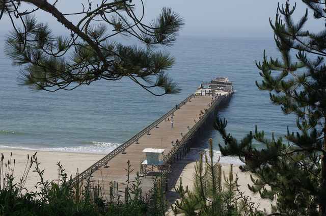 An elevated view through tree branches follows a long pier from the beach to the concrete ship; small visitors are incidental.