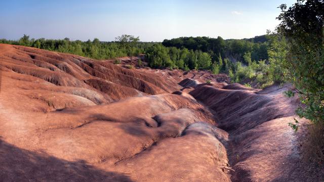 Rounded red ridges descend into gullies beside a green wooded edge under a pale blue sky.
