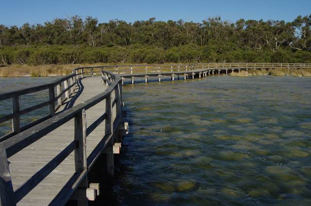 A timber observation boardwalk curves over lake water toward a wooded shore.