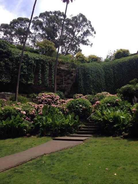 A path leads to steps between flowering shrubs, with the sinkhole rim and trees above.