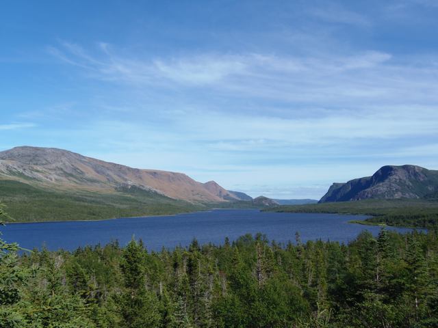 Blue water stretches between hills, with conifers in the foreground and broad brown slopes on the left beneath a large blue sky.