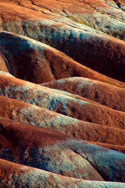 A close-up fills the frame with repeated red and pale-edged ridges separated by dark gullies.