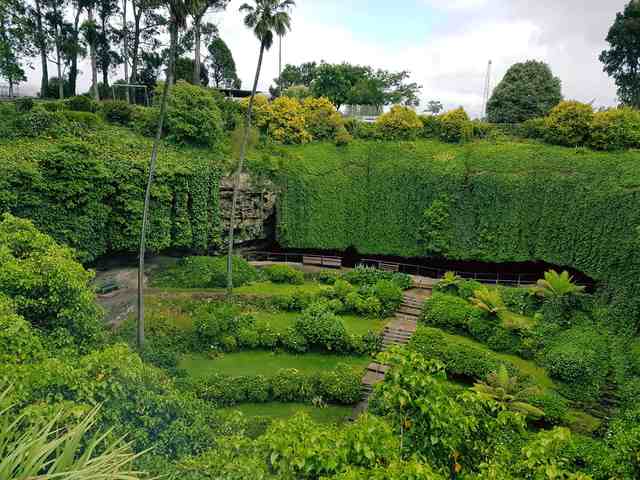 An elevated view looks over planted terraces and steps beneath tall, vine-covered sinkhole walls.
