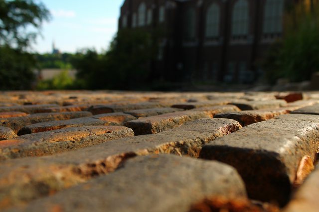 Close, low view across weathered brick paving; the buildings and trees beyond are out of focus.