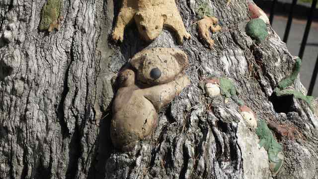 A painted koala with a smaller koala on its back sits among carved figures and deep grooves in a grey wooden trunk.