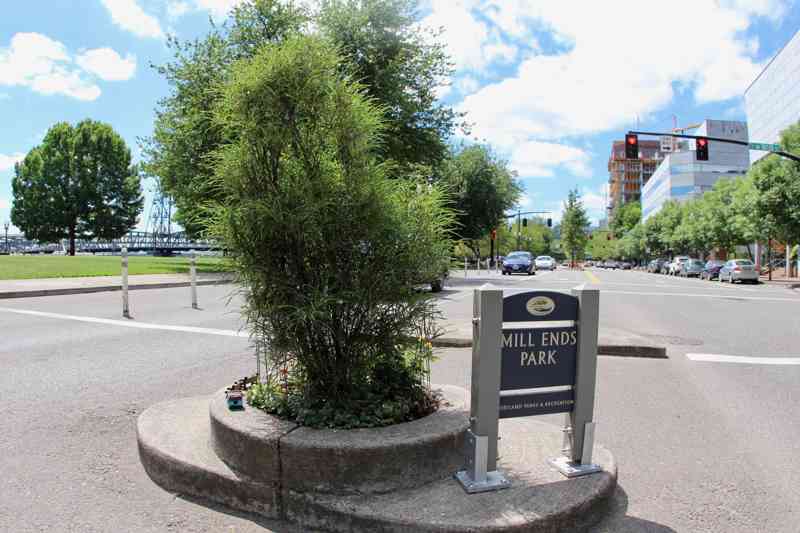 A tiny planted circle and park sign occupy the foreground, with traffic signals, a wide road and waterfront trees beyond.