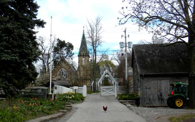 A chicken stands in a paved lane beside a green tractor and timber building, with a white gate, overhead wires and a stone spire beyond.
