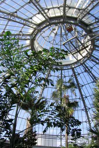 An upward view of glass panels, steel framing and an overhead grated platform, with tall plants below.