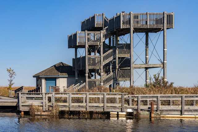 A timber observation tower and stairs above the marsh boardwalk, with water and reeds in the foreground.