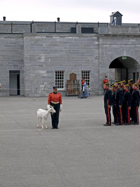 A goat and handler face a line of uniformed interpreters in a stone fort courtyard.