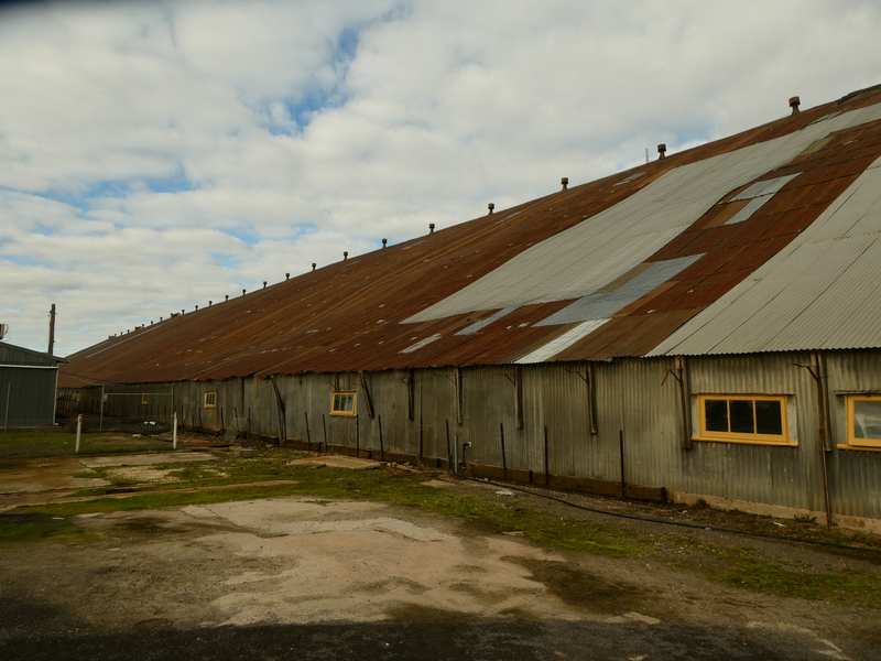 A long corrugated metal shed with a steep roof of reddish and pale panels and several small yellow-framed windows.